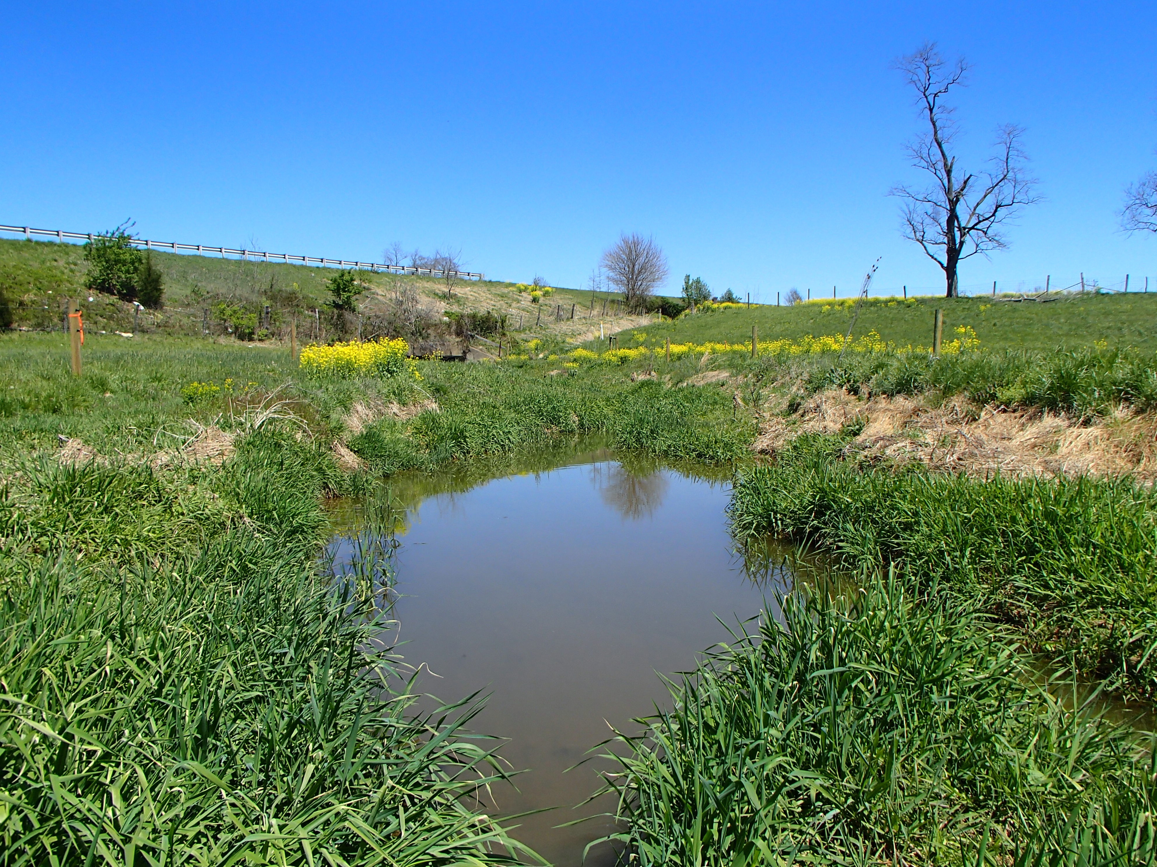 Field photo showing stream conditions at site PRFR-206-X-2016_Midpoint looking upstream
